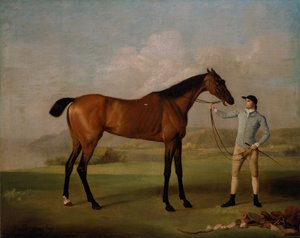 Molly Patilargas con su jinete de George Stubbs